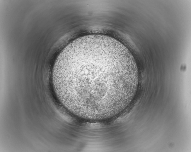 X0000090440645200708102028
