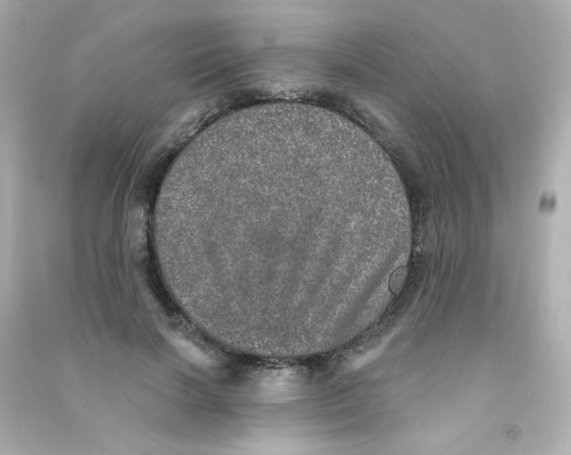 X0000090440646200708102028