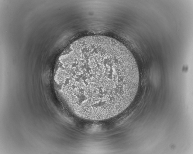 X0000090440647200708102028