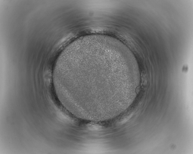 X0000090440648200708102028
