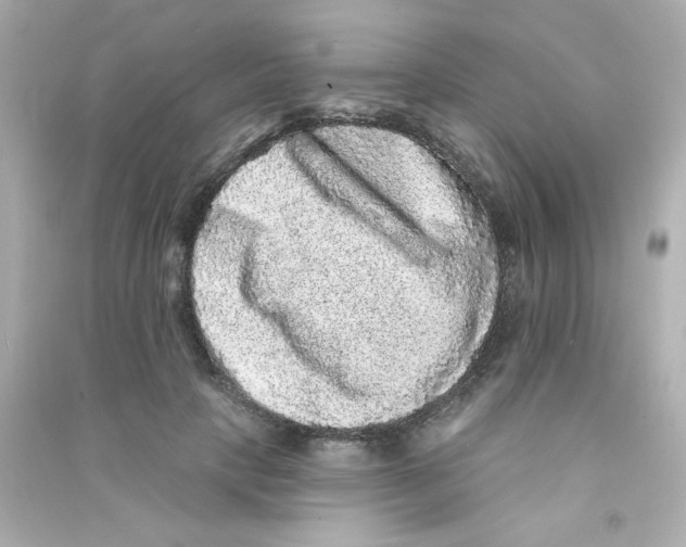X0000090440649200708102028