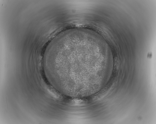 X0000090440650200708102028