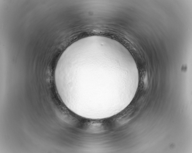 X0000090440651200708102028
