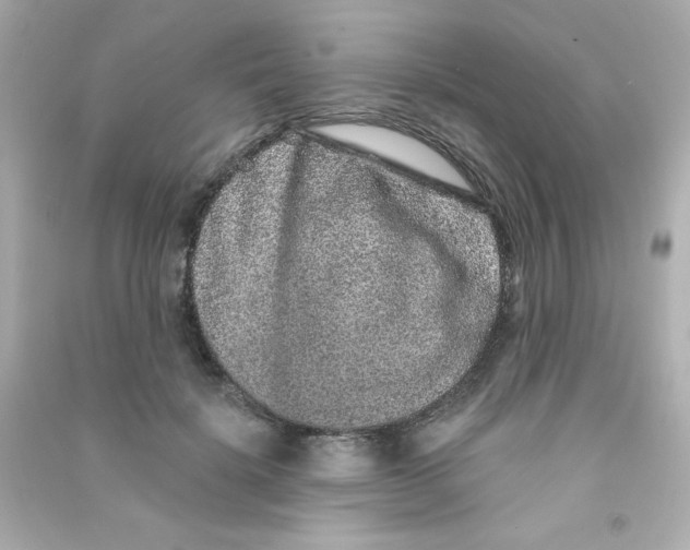 X0000090440652200708102028