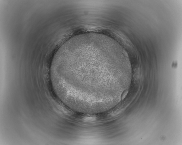 X0000090440653200708102028