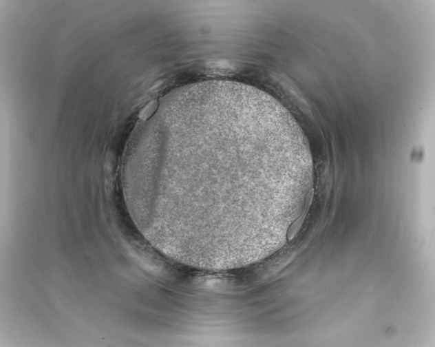 X0000090440655200708102028