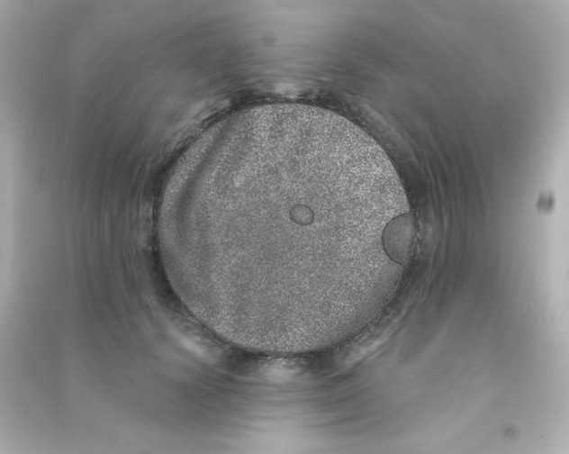 X0000090440656200708102028