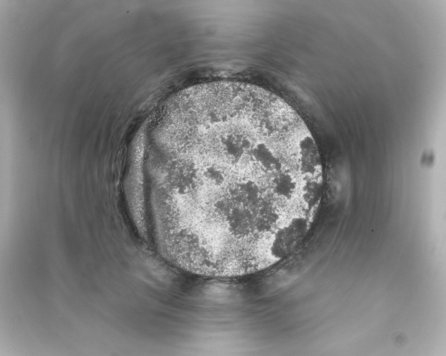 X0000090440657200708102028