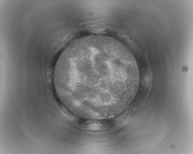 X0000090440658200708102028