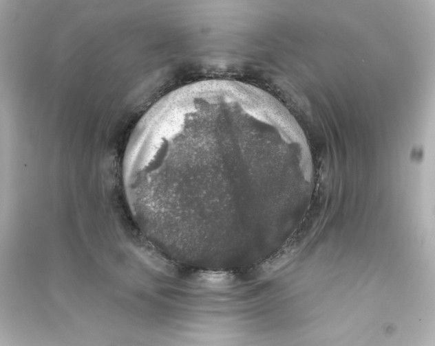 X0000090440659200708102028