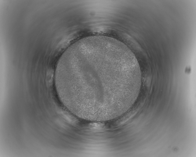 X0000090440660200708102028