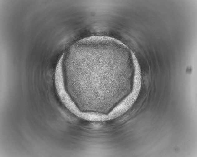 X0000090440662200708102028