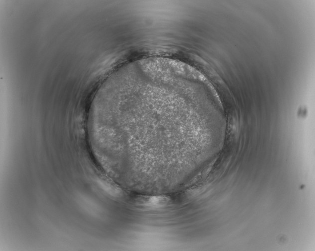 X0000090440663200708102028
