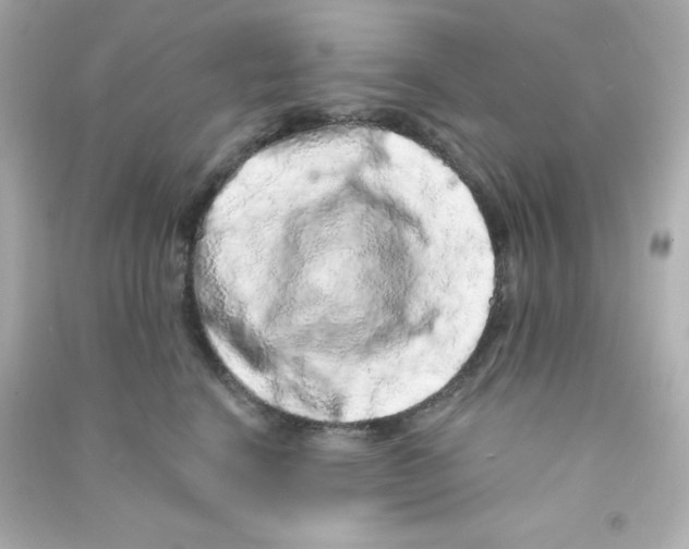 X0000090440664200708102028