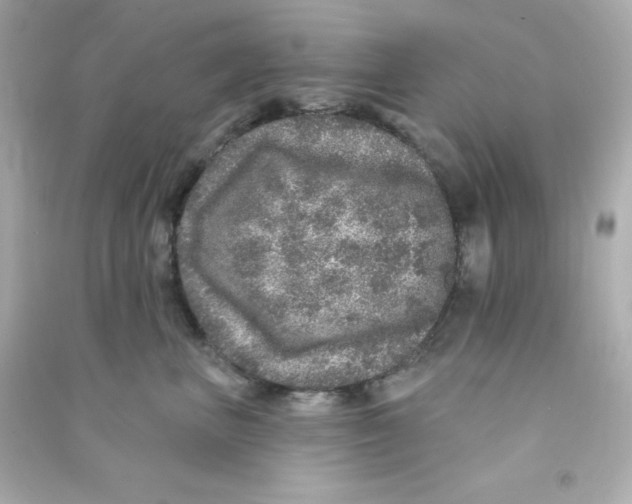 X0000090440667200708102028