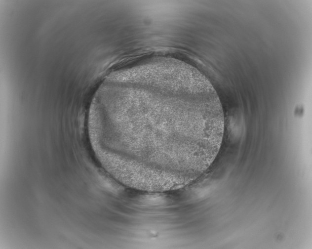 X0000090440668200708102028