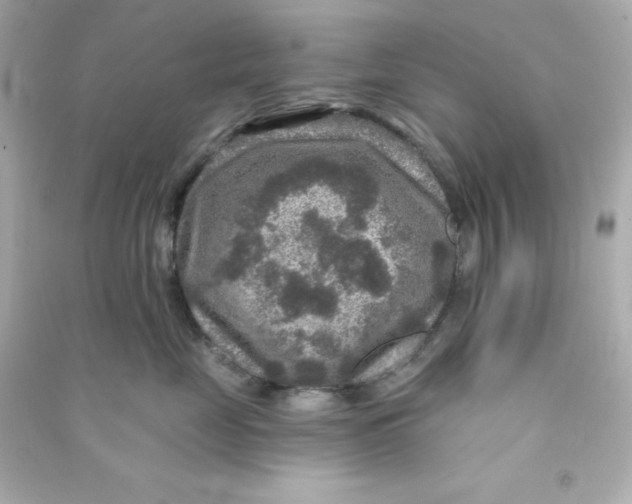 X0000090440669200708102028
