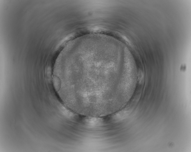 X0000090440670200708102028