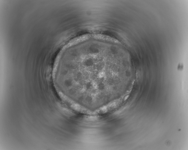 X0000090440671200708102028