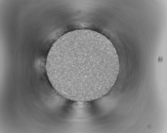 X0000090440672200708102028