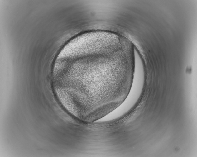 X0000090440673200708102028
