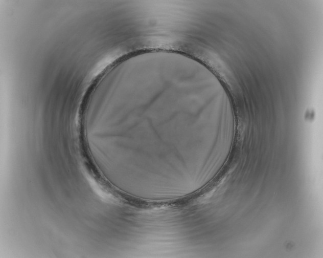 X0000090440674200708102028