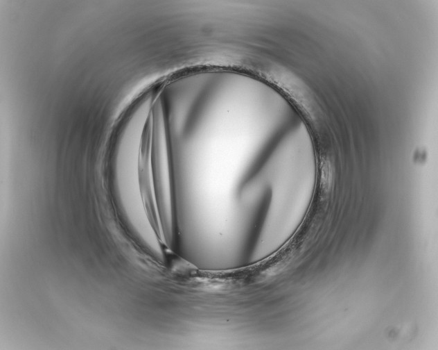 X0000090440676200708102028