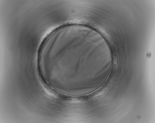 X0000090440678200708102028