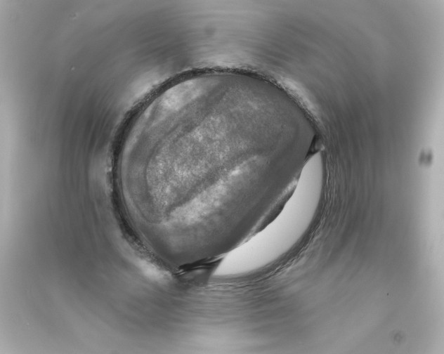 X0000090440680200708102028