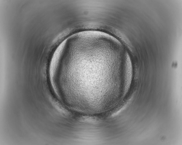 X0000090440681200708102028
