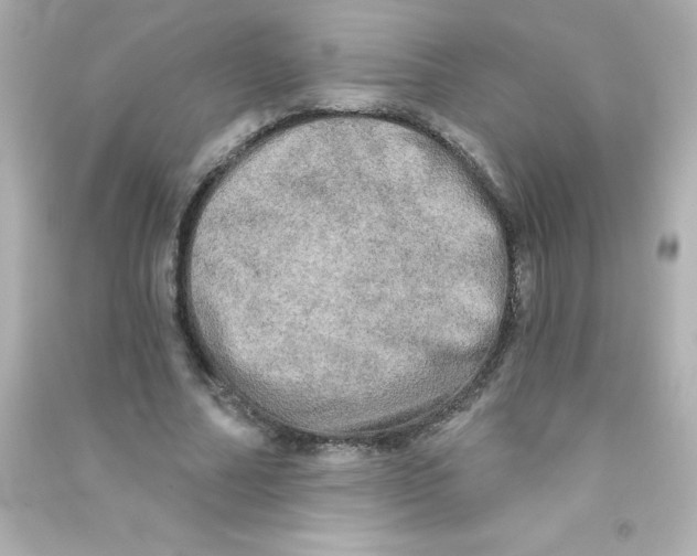 X0000090440682200708102028