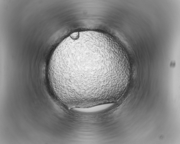 X0000090440685200708102028