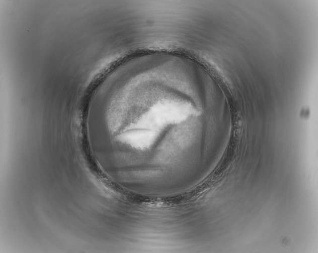 X0000090440688200708102028