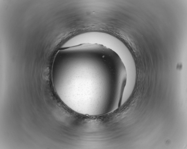 X0000090440689200708102028