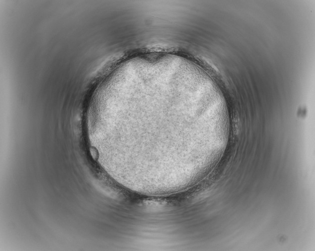 X0000090440690200708102027