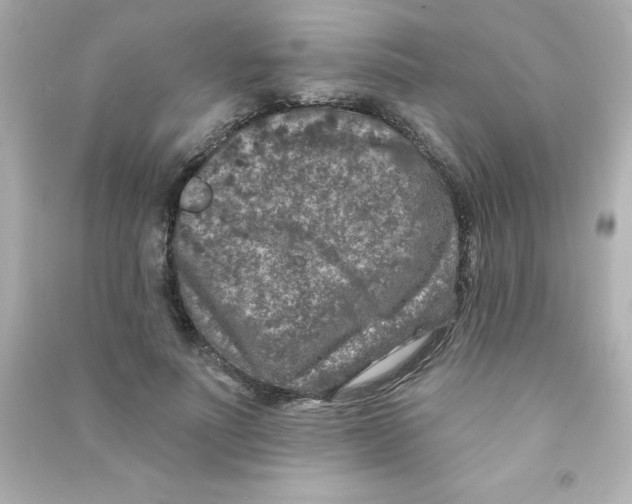 X0000090440691200708102027