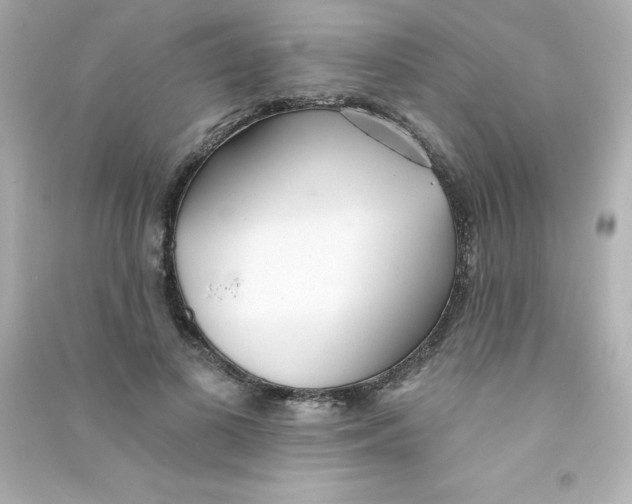 X0000090440693200708102027