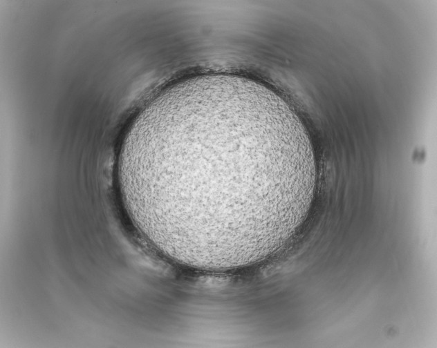 X0000090440694200708102027