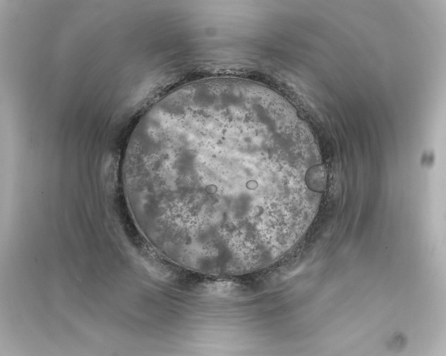 X0000090440695200708102027