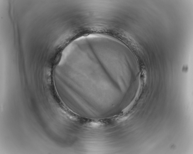 X0000090440696200708102027