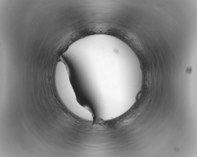 X0000090440697200708102027