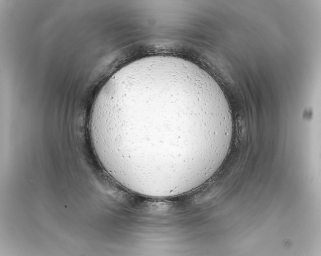 X0000090440698200708102027