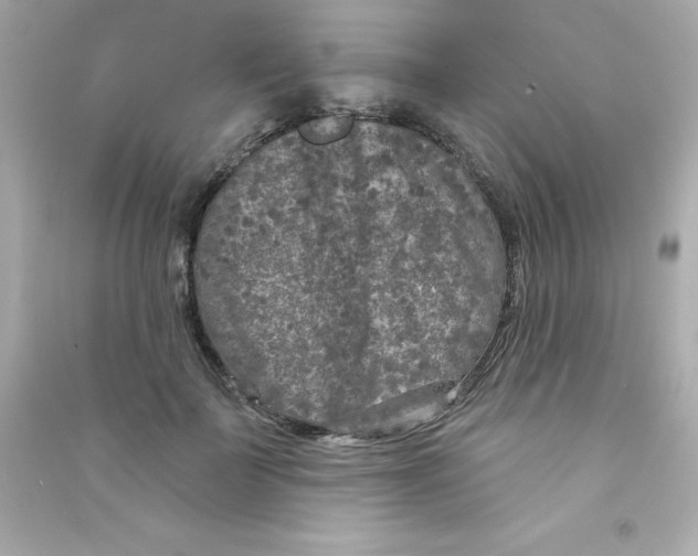 X0000090440699200708102027