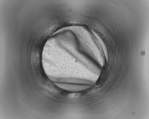 X0000090440700200708102027