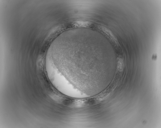 X0000090440701200708102027
