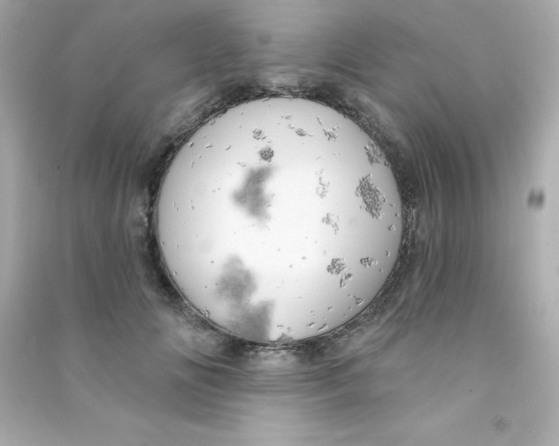 X0000090440702200708102027
