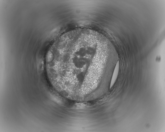 X0000090440703200708102027