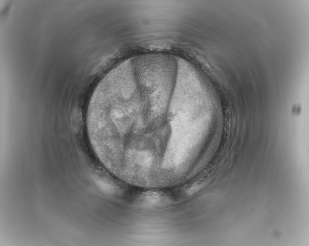 X0000090440704200708102027