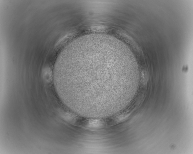 X0000090440705200708102027