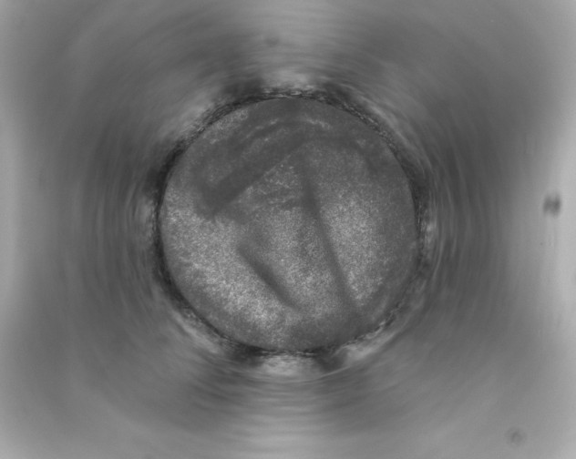 X0000090440708200708102027